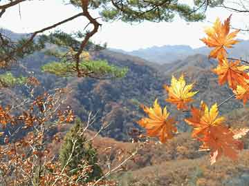 德阳黄许最新规划图揭秘，城市发展的宏伟蓝图与未来展望